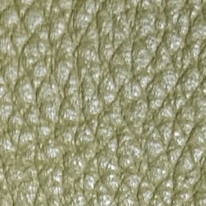 kaki