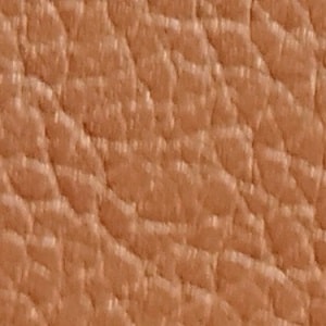 noisette