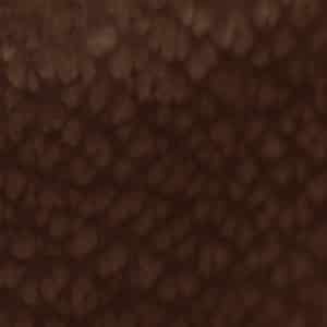 chocolat